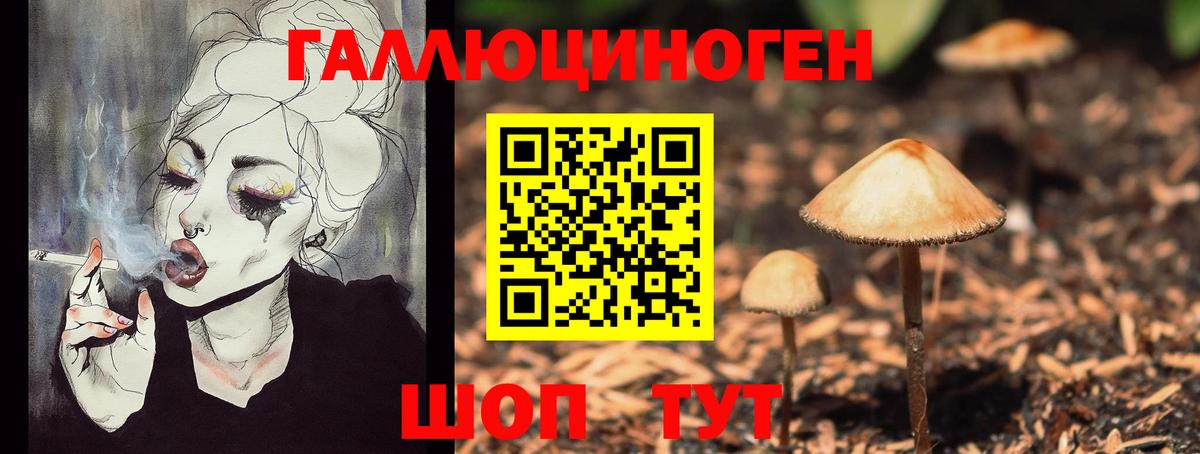 Галлюциногенные грибы мицелий  Псилоцибиновые грибы мицелий  Вход с VPN  Дальнереченск 